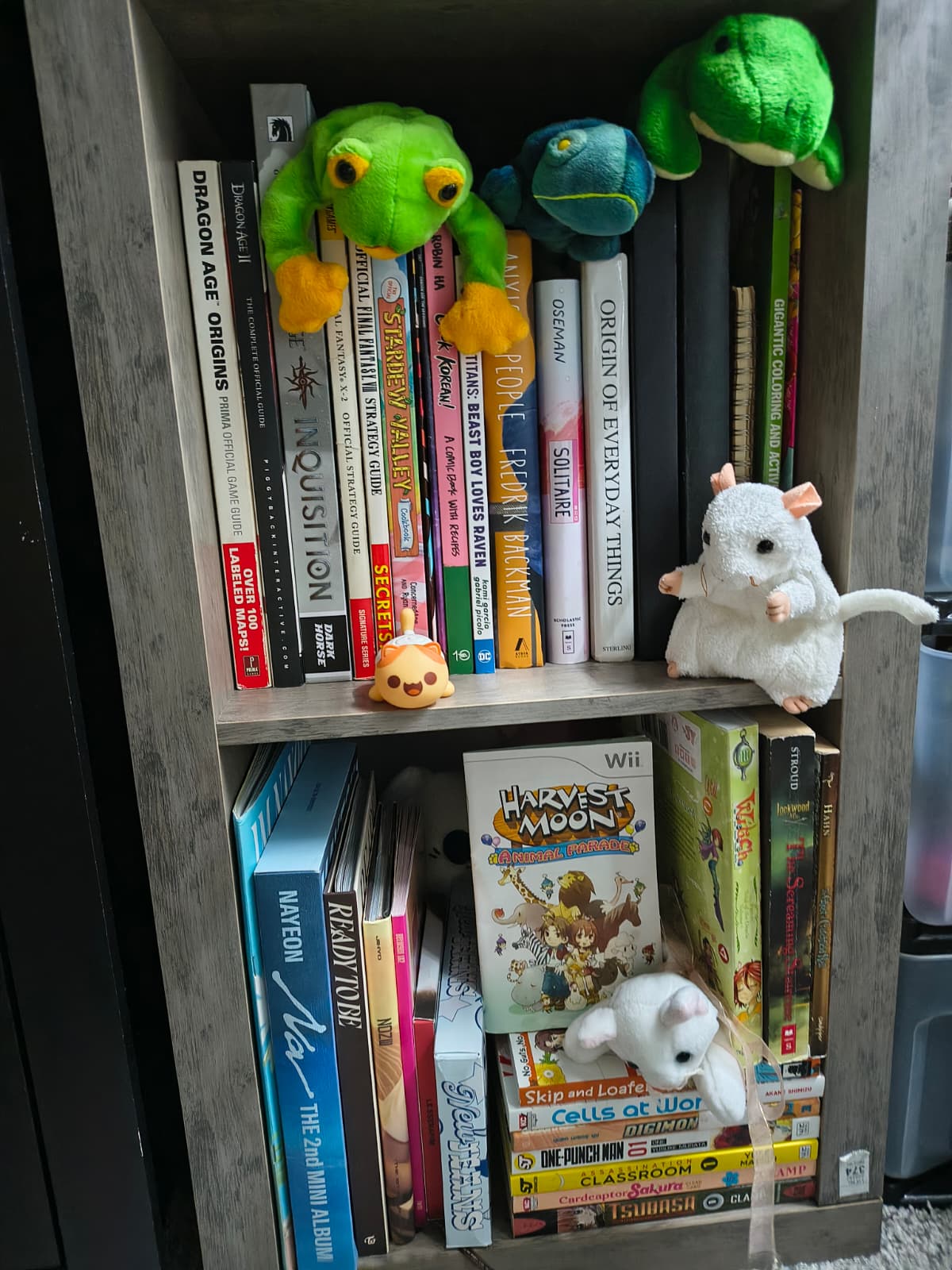 arrangement of books, cds, and albums, and stuffed animals